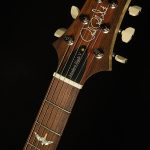 Wildwood Wood Library Modern Eagle V - Brazilian Rosewood, 10-Top