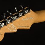 Greg Koch Signature Gristle ST Prototype