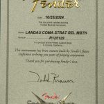 Limited Edition Masterbuilt Michael Landau "COMA" Stratocaster by Todd Krause - Relic