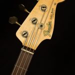 Jaco Pastorius Tribute Bass