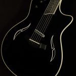 2006 Taylor Guitars T5-S