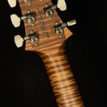 Wildwood Wood Library Modern Eagle V - Brazilian Rosewood, 10-Top