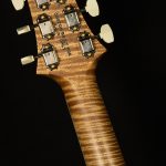 Wildwood Wood Library McCarty SC-594 - 10-Top, Brazilian Rosewood