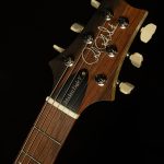 Wildwood Wood Library Modern Eagle V - Brazilian Rosewood, 10-Top