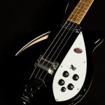 4005V Semi-Hollowbody Bass Reissue