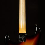 Wildwood 10 Postmodern Stratocaster - Deluxe Closet Classic