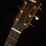 GS Mini-e Rosewood Plus