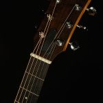 50th Anniversary GS Mini-e Rosewood SB LTD