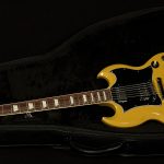 Custom Color Series SG Standard