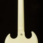 Custom Color Series SG Standard