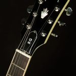 Custom Color Series SG Standard