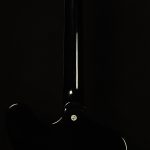 Original Collection Firebird Platypus