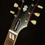 Inspired by Gibson Acoustic Hummingbird