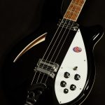 4005V Semi-Hollowbody Bass Reissue