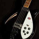 4005V Semi-Hollowbody Bass Reissue