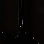 Firebird Custom - Gloss