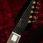 Firebird Custom - Gloss