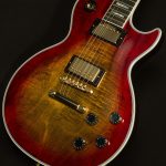 Les Paul Axcess Custom - Gloss