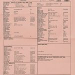 Wildwood 10 1961 Stratocaster - NOS