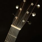 2024 Collings Julian Lage Signature OM1 JL