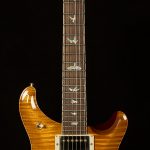 2021 PRS Guitars Wildwood Wood Library McCarty 594 Hollowbody II - 10-Top, Brazilian Rosewood