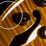 2021 PRS Guitars Wildwood Wood Library McCarty 594 Hollowbody II - 10-Top, Brazilian Rosewood