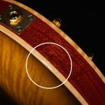 2021 PRS Guitars Wildwood Wood Library McCarty 594 Hollowbody II - 10-Top, Brazilian Rosewood