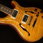 2021 PRS Guitars Wildwood Wood Library McCarty 594 Hollowbody II - 10-Top, Brazilian Rosewood