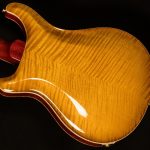 2021 PRS Guitars Wildwood Wood Library McCarty 594 Hollowbody II - 10-Top, Brazilian Rosewood