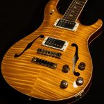2021 PRS Guitars Wildwood Wood Library McCarty 594 Hollowbody II - 10-Top, Brazilian Rosewood
