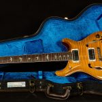 2021 PRS Guitars Wildwood Wood Library McCarty 594 Hollowbody II - 10-Top, Brazilian Rosewood