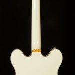 Professional Collection Limited Falcon Double-Cut - Bigsby, Center Block