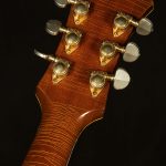 Vintage 1965 Epiphone Sheraton