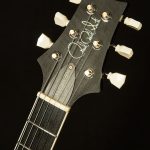 2021 PRS Guitars McCarty 594 Hollowbody II - Artist Package