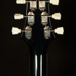 2021 PRS Guitars McCarty 594 Hollowbody II - Artist Package