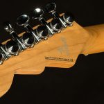 Wildwood-Exclusive Spy