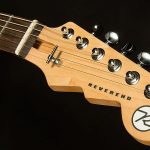 Wildwood-Exclusive Spy