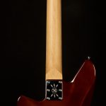 Wildwood-Exclusive Spy