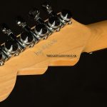 Wildwood-Exclusive Spy