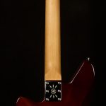 Wildwood-Exclusive Spy