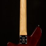 Wildwood-Exclusive Spy