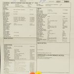 Wildwood 10 1957 Stratocaster - NOS