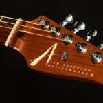 2001 Tom Anderson Cobra S