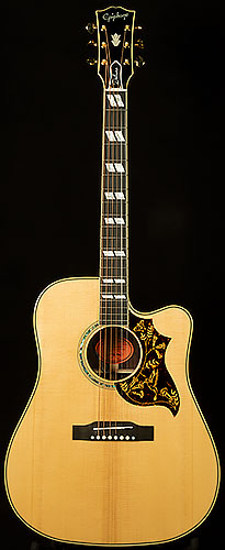 Inspired by Gibson Custom Hummingbird Deluxe EC
