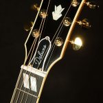 Inspired by Gibson Custom Hummingbird Deluxe EC