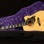 Inspired by Gibson Custom Hummingbird Deluxe EC