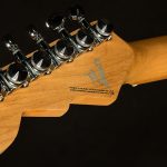 Wildwood-Exclusive Spy