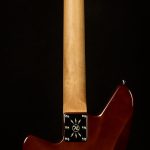 Wildwood-Exclusive Spy