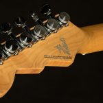 Wildwood-Exclusive Spy