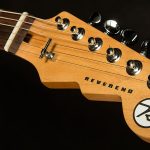 Wildwood-Exclusive Spy